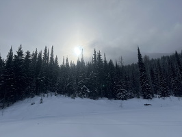 Meanwhile on the Nordic Track